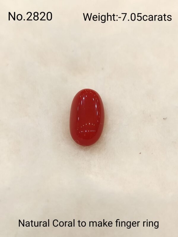 Natural Coral Collection by Magan Pearls