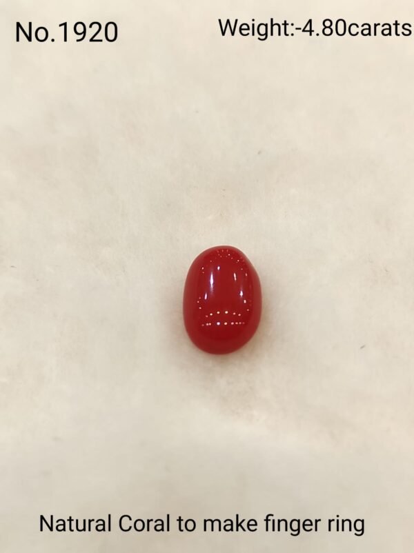 Natural Coral Collection by Magan Pearls